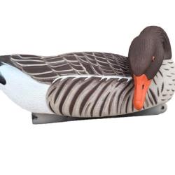 Formes d'Oie Cendrée Mangeuse HD - Lot de 4