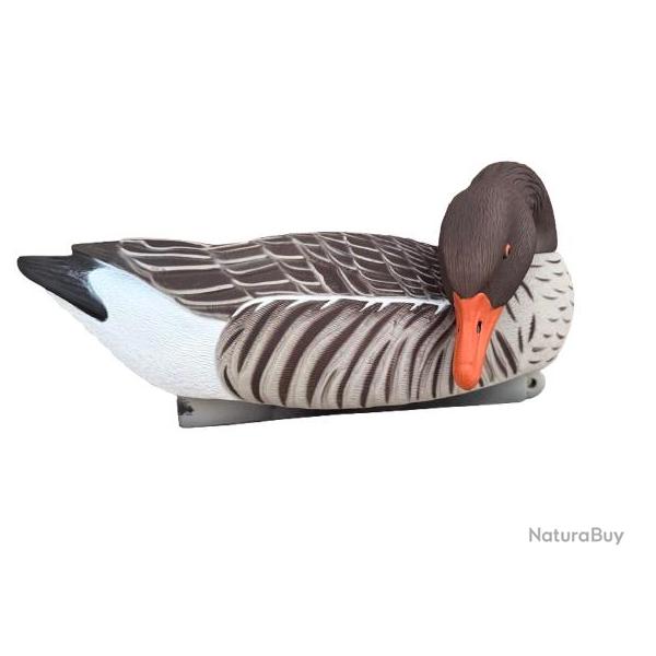 Formes d'Oie Cendr�e Mangeuse HD - Lot de 4