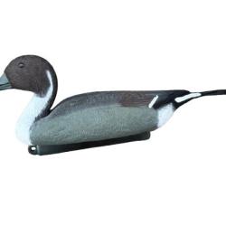 Formes de canard pilet - Lot de 10 (5 mâles + 5 femelles)