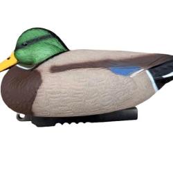 Formes de Colvert HD Moussées Insubmersibles - Lot de 12 (8 mâles + 4 femelles)