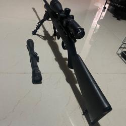 Carabine norinco jw15