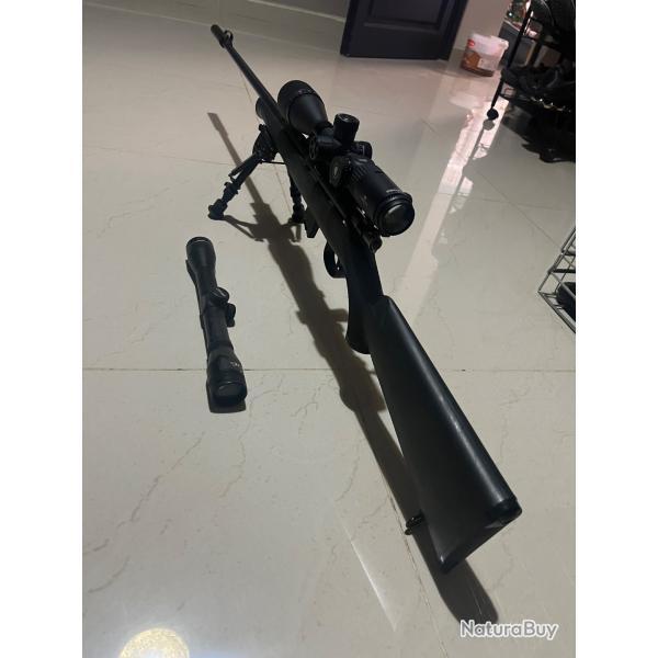 Carabine norinco jw15