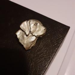 Pins Labrador