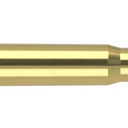 Nosler 100 Douilles 30-30 WIN