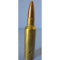 Cartouche cal. 300 WSM  PAR REMINGTON NEUTRALISEE