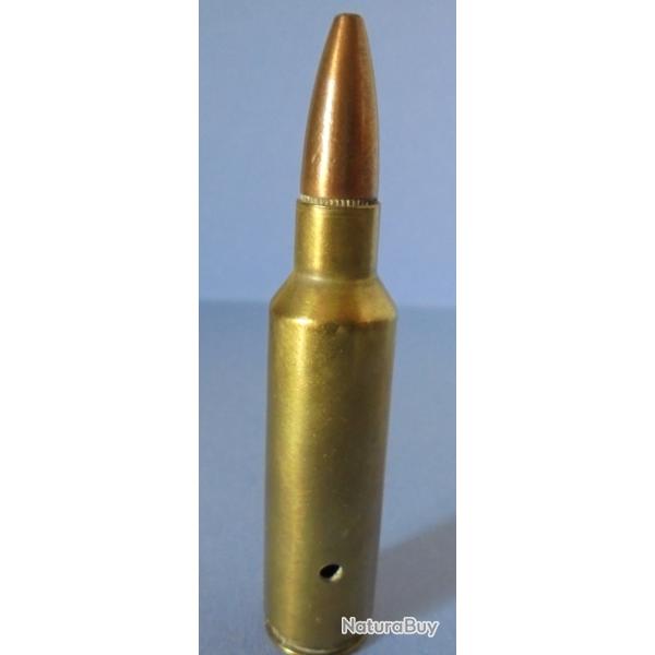 Cartouche cal. 300 WSM  PAR REMINGTON NEUTRALISEE