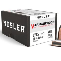 Nosler 100 Ogives 224 55 gr FB Tipped Varmageddon