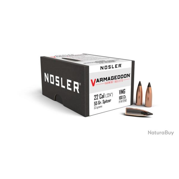 Nosler 100 Ogives 224 55 gr FB Tipped Varmageddon
