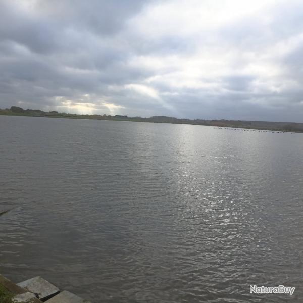 Gabion Chasse � Varaville Etang de la Vieille Rivi�re (2 installations) sur 10 hectares