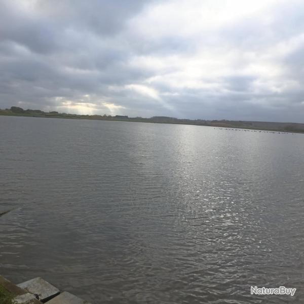 Gabion Chasse � Varaville Etang de la Vieille Rivi�re (2 installations) sur 8,76 hectares