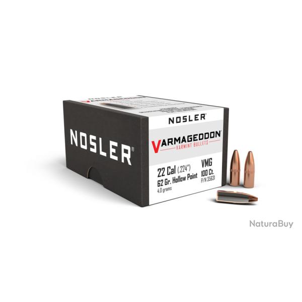 Nosler 100 Ogives 224 62 gr FBHP Varmageddon