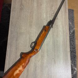 Carabine &agrave; plomb