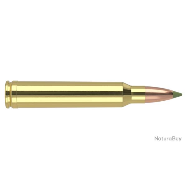 Nosler 20 cartouches ETA-300 Win Mag 180 gr SP E-Tip