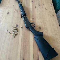 Carabine ROSSI Gallery .22lr &agrave; pompe