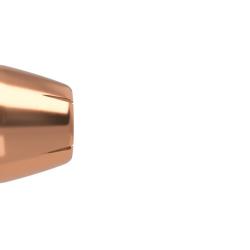 Nosler 250 Ogives 10mm 135 gr JHP ASP