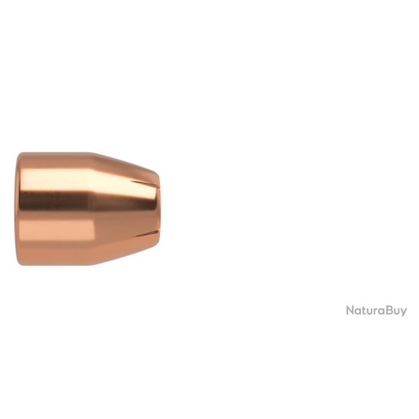 Nosler 250 Ogives 10mm 135 gr JHP ASP