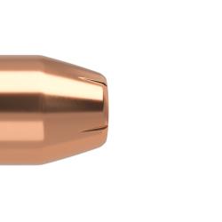 Nosler 250 Ogives 10mm 180gr JHP