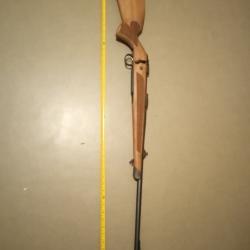 Cz600 luxe cal 300 win mag