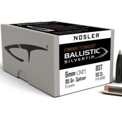 Nosler 50 Ogives 6mm 95 gr Ballistic Silvertip SP