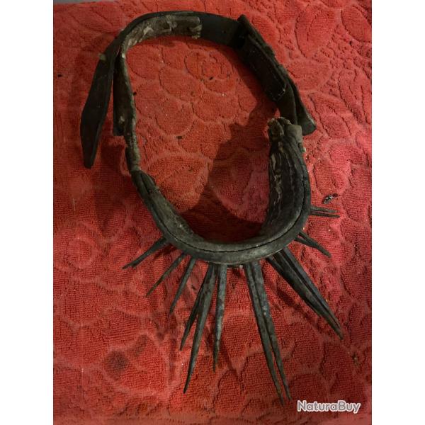 Collier anti loup usage