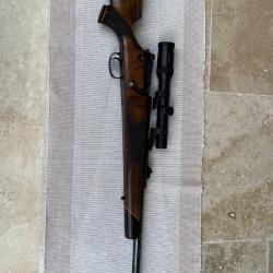carabine mauser 66 calibre 458W