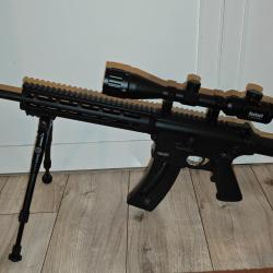 Smith & Wesson - MP15 .22lr