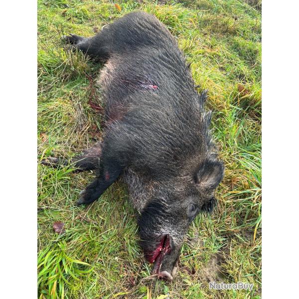 Chasse � la journ�e au gros gibier