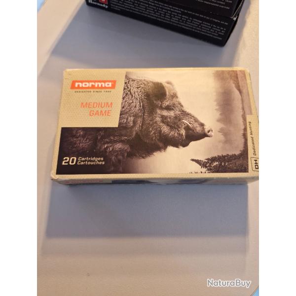 Bo�te de 20 balles, 300 win mag plastic point 11,7 / 180 gr