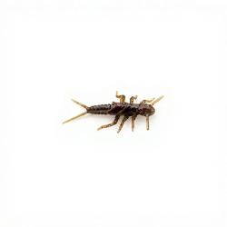 Leurre souple FISHUP Stonefly 0.75 50