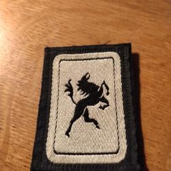 Patch tissu militaire 5 ieme division blind&eacute;