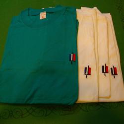 LOT DE TEE SHIRT BRODES ARMEE DE TERRE