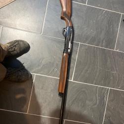 Fusil semi automatique ege arms