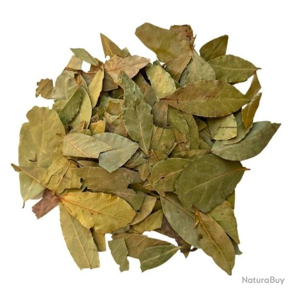 40g Feuilles de Laurier Enti�res S�ch�es bio et locales Laurus Nobilis 100% Naturel Sans Additif