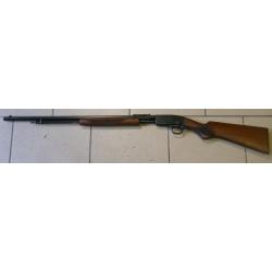 Savage 29 A &agrave; pompe calibre 22 LR