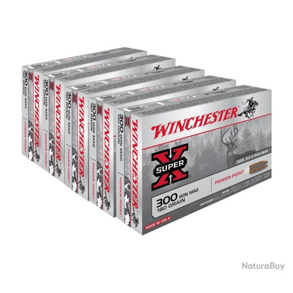 100 BALLES WINCHESTER 300WM POWER POINT 180GR DEC