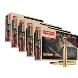 100 BALLES NORMA 30-06 WHITETAIL 180GR DEC