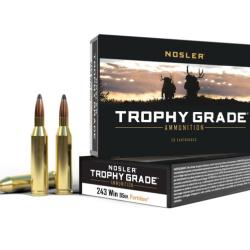 Nosler 20 cartouches TGA-243 Win 85 gr PT SP