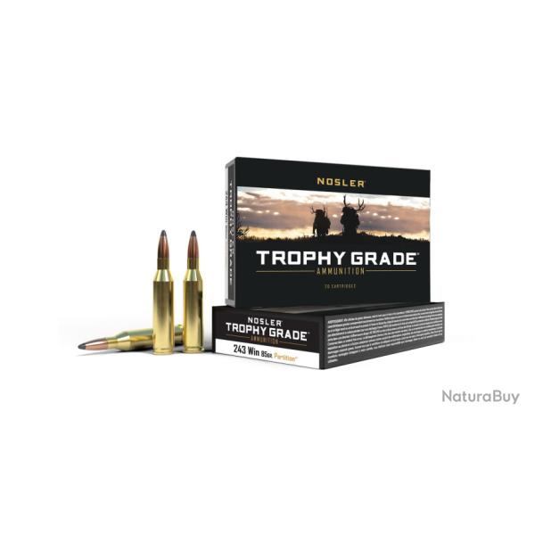 Nosler 20 cartouches TGA-243 Win 85 gr PT SP