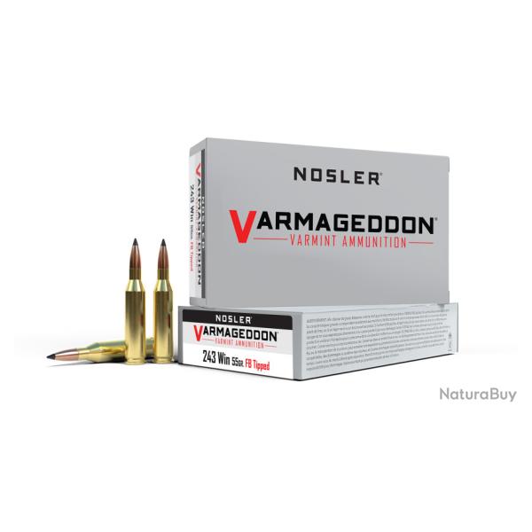 Nosler 20 cartouches VGA-243 Win 55 gr VG FBT