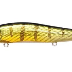 VISION 110 SR - GG PERCH