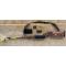 petites annonces chasse pêche : Carabine browning BLR Lightweight-Cal. 30.06 état comme neuf