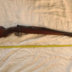 Carabine mauser 22LR allemande
