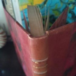 Chien de feu Georges Bordonove (1963) roman centr&eacute; sur la chasse au loup