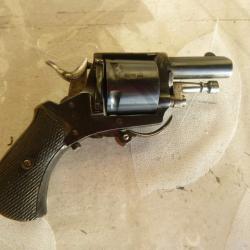 Sympa bull dog en 320