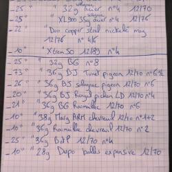 Cartouches calibre 12