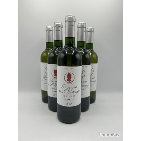 Vente Flash ! 2019 Baronne de L'Esconge Bordeaux Blanc - 6 Bouteilles