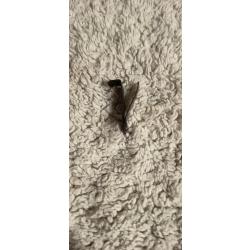 Ressort pistolet le fran&ccedil;ais (745)