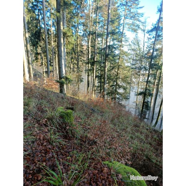 Part de chasse Alsace