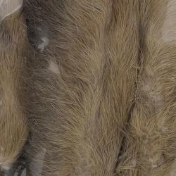 Patte de lapin des neiges Gris fonc&eacute;