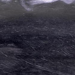 Ch&egrave;vre polaire Noire